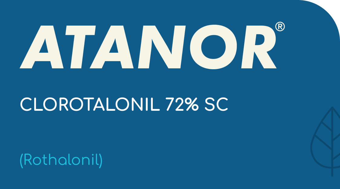 ATANOR | CLOROTALONIL 72% SC | (Rothalonil)