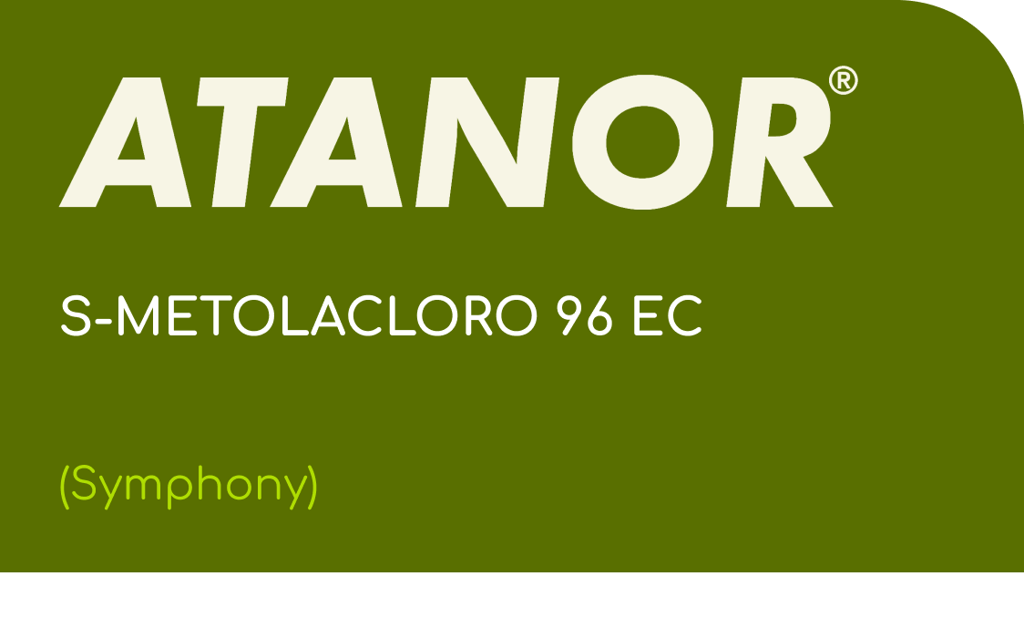 ATANOR  |  S-METOLACLORO 96 EC  |  (Symphony)