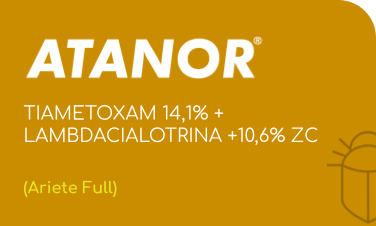 ATANOR | TIAMETOXAM 14,1% + LAMBDACIALOTRINA +10,6% ZC  | (Ariete Full)