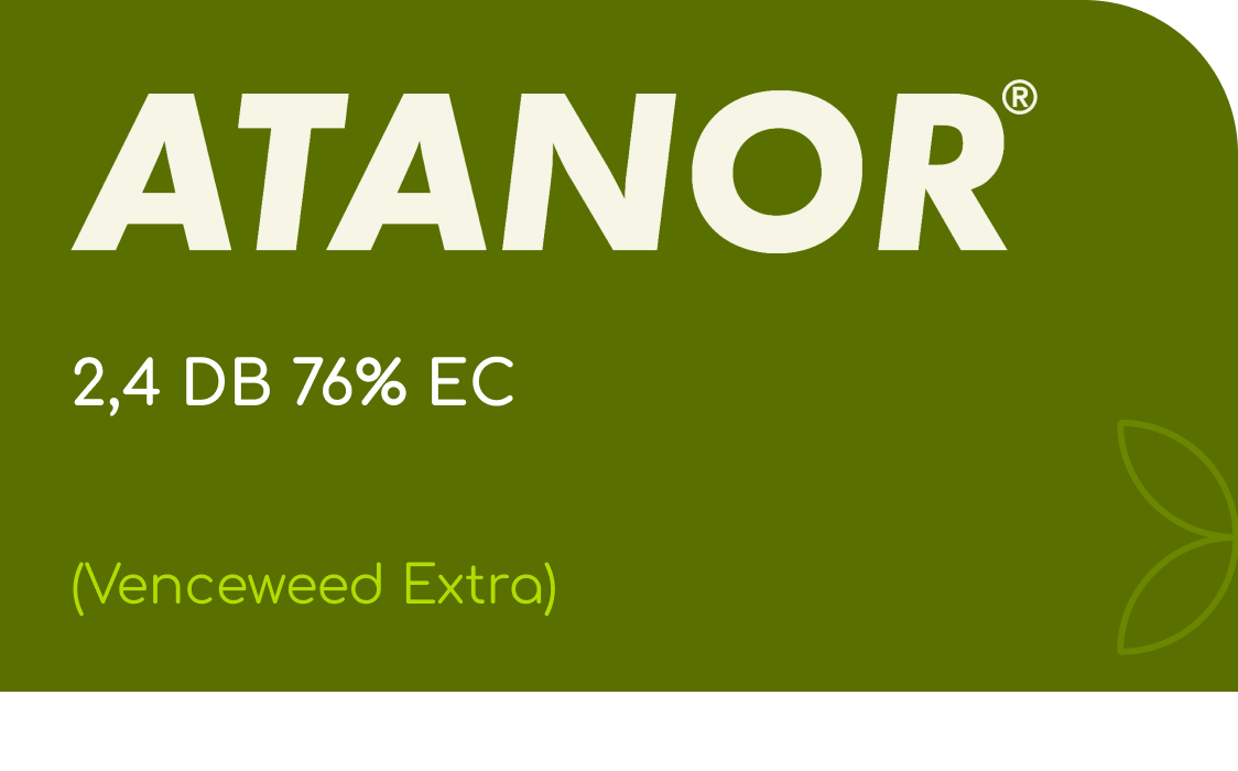 ATANOR | 2,4 DB 76% EC | (Venceweed Extra)