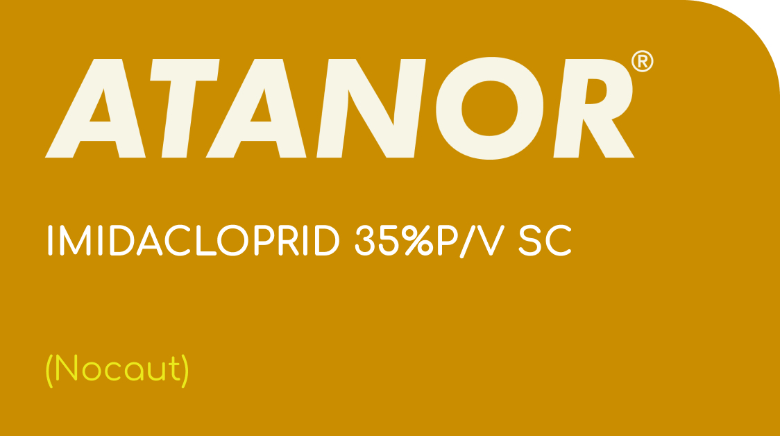 ATANOR  |  IMIDACLOPRID 35%P/V SC  |  (Nocaut)