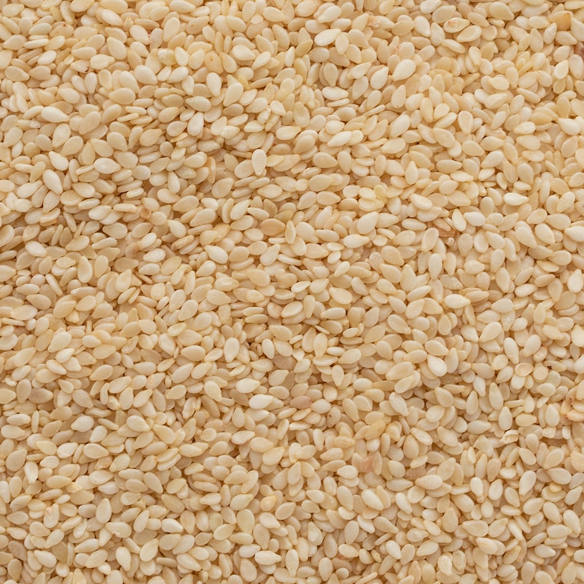 Sesame