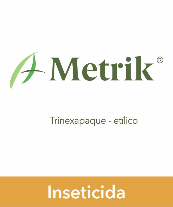 Metrik