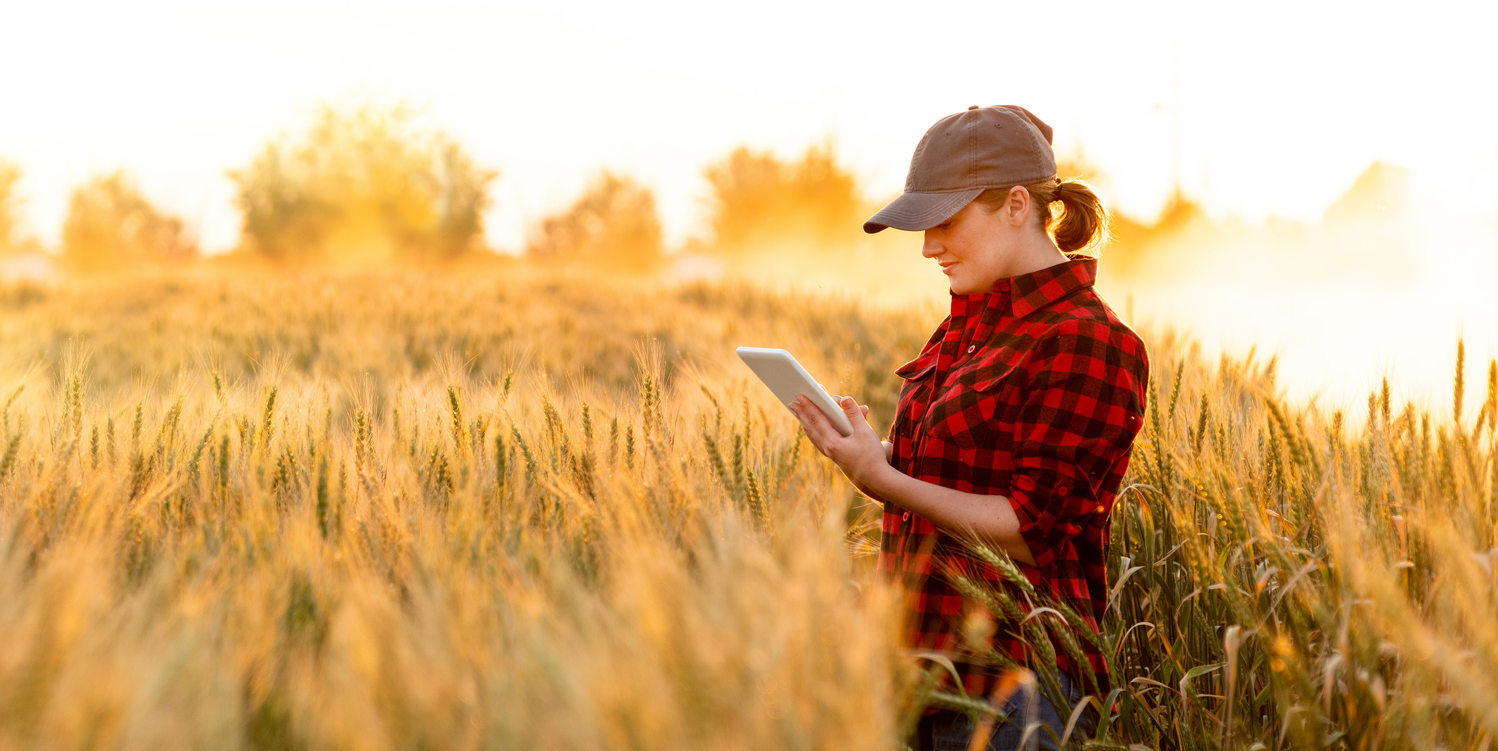 Farmer in field