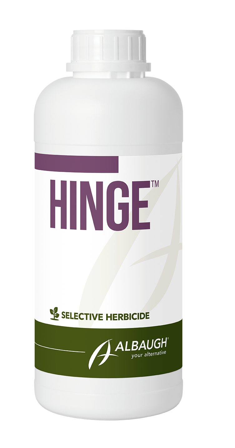 Hinge®