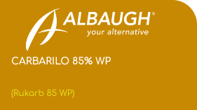 ALBAUGH  |  CARBARILO 85% WP  |  (Rukarb 85 WP)