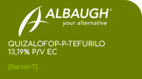 ALBAUGH | QUIZALOFOP-P-TEFURILO 13,19% p/v EC | (Sector-T)