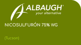 ALBAUGH  |  NICOSULFURÓN 75% WG  |  (Tucson)