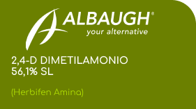 ALBAUGH  |  2,4-D DIMETILAMONIO 56,1% SL  |  (Herbifen Amina)