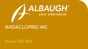 ALBAUGH  |  IMIDACLOPRID WG  |  (Imaxi 700 WG)