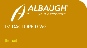 Albaugh | IMIDACLOPRID WG | (Imaxi)