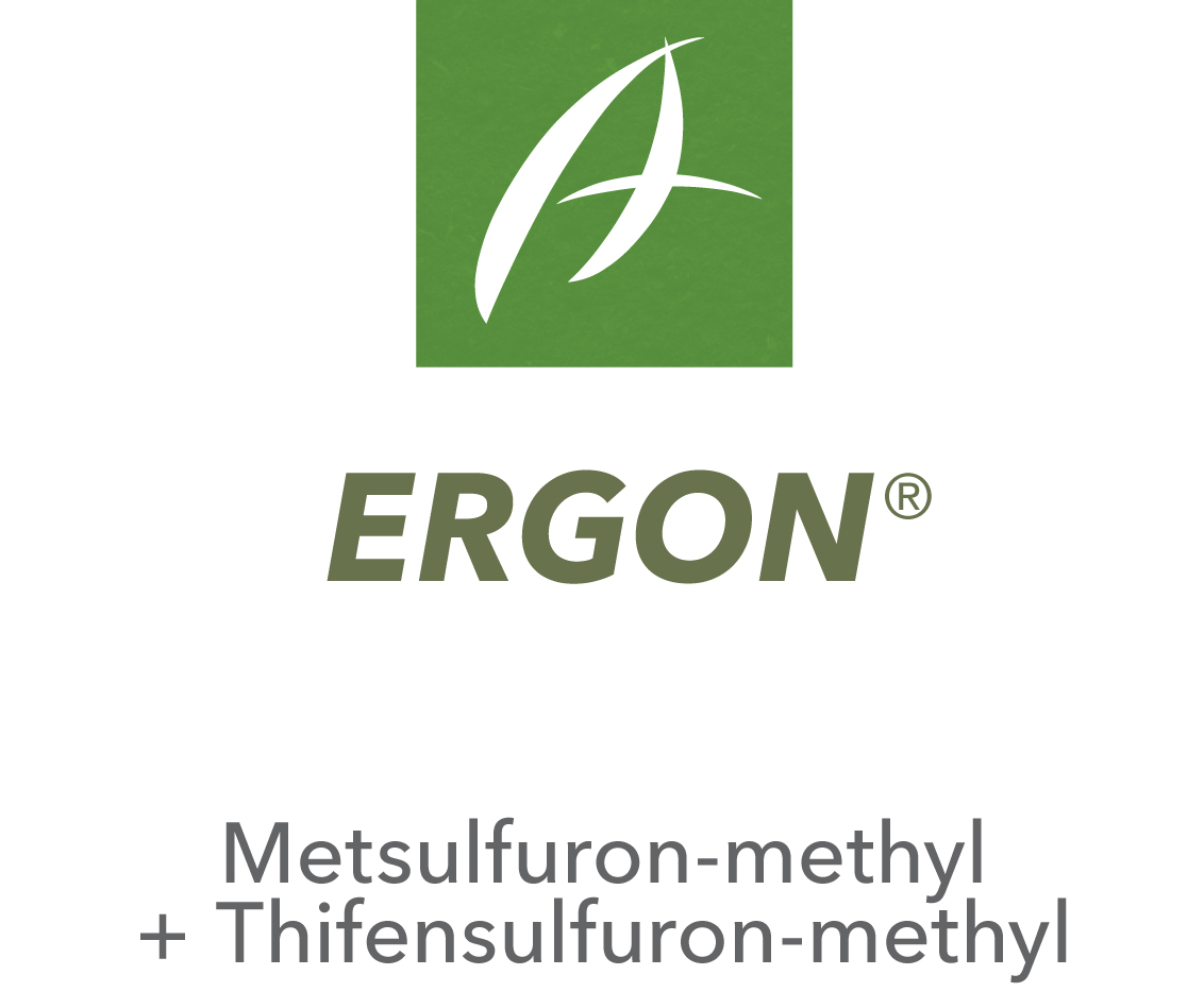 Ergon®