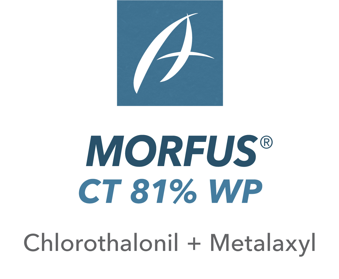 Morfus® CT 81% WP