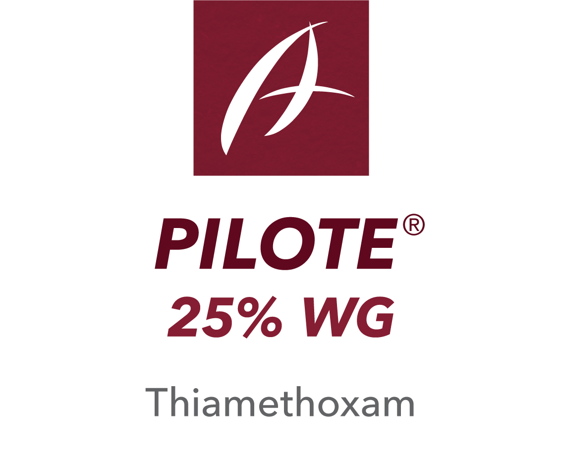 Pilote® 25% WG