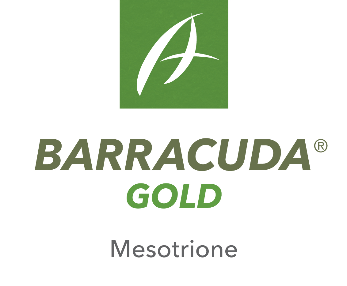 Barracuda® Gold