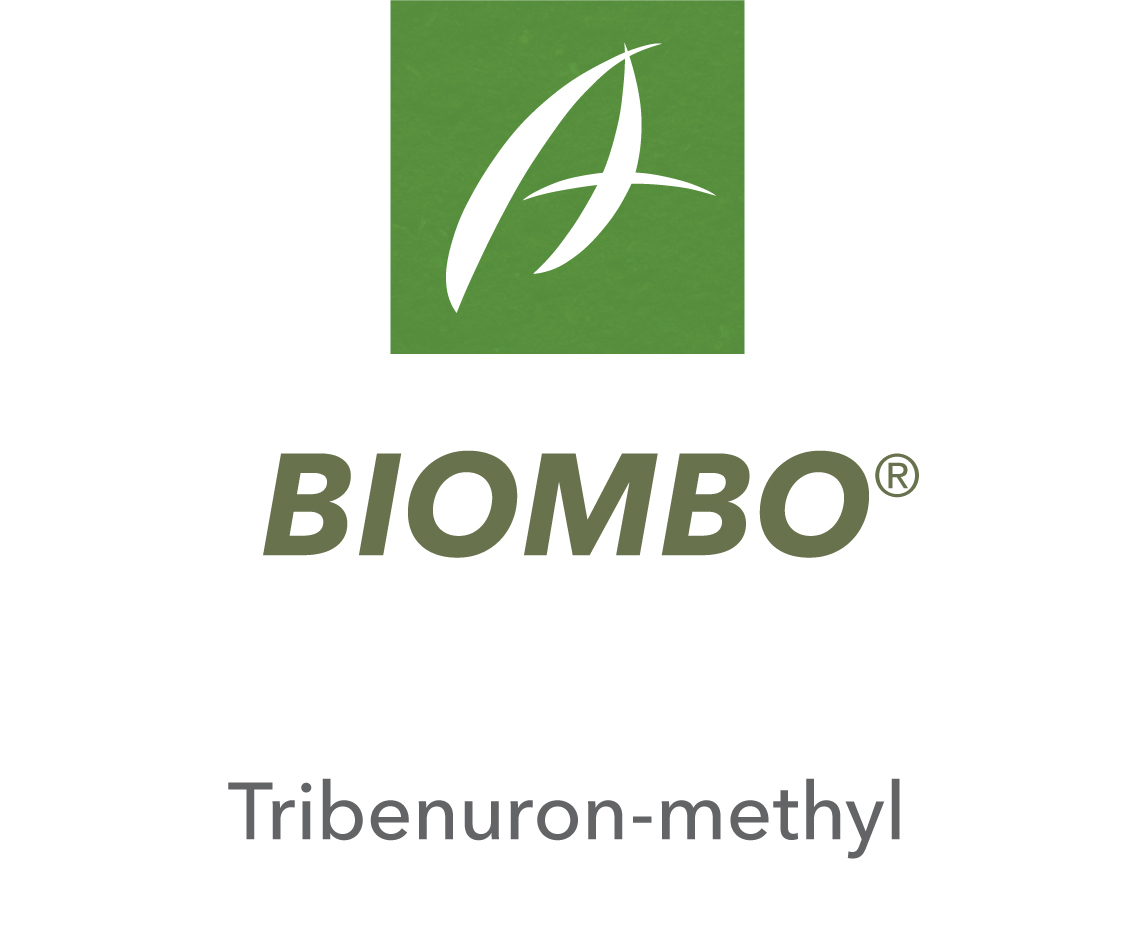 Biombo®