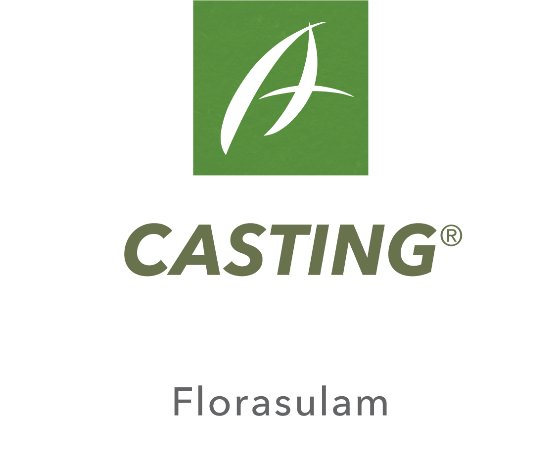 Casting®