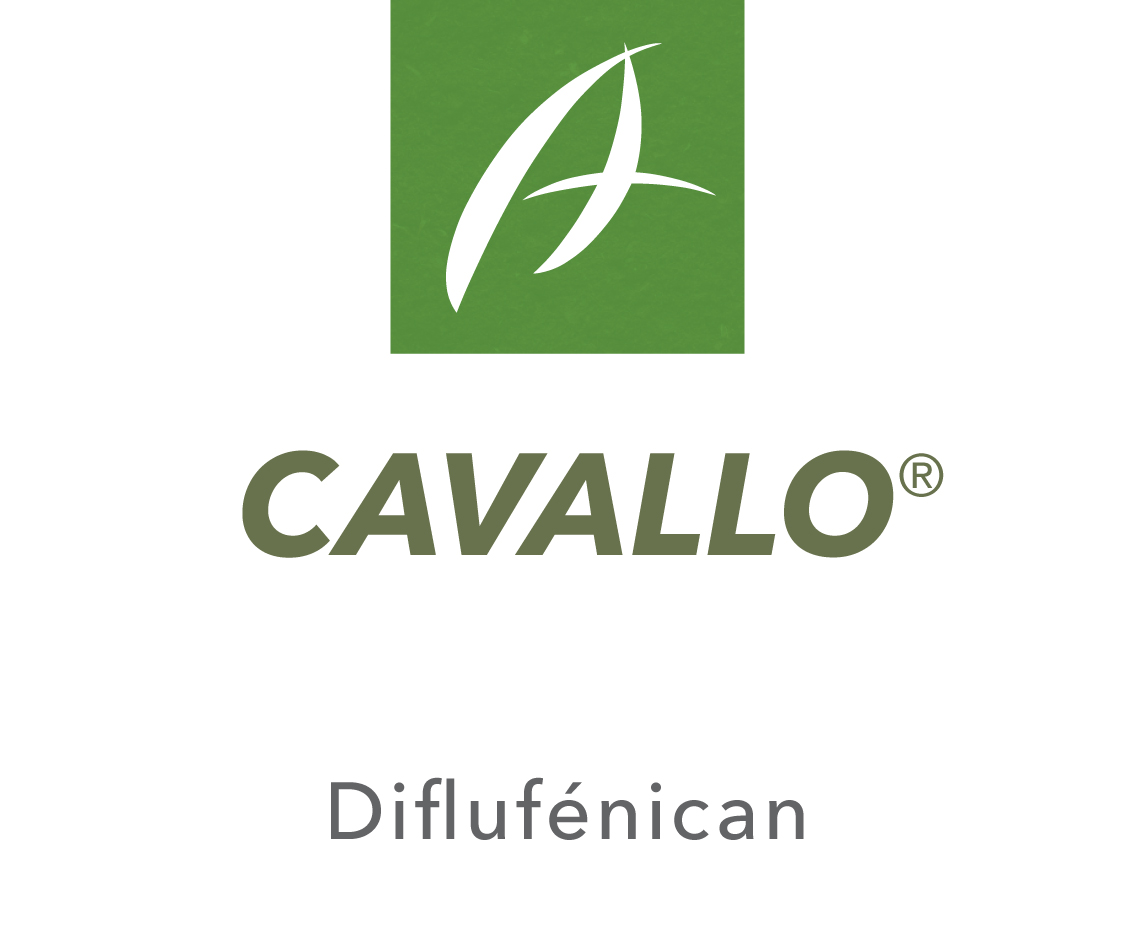 Cavallo®