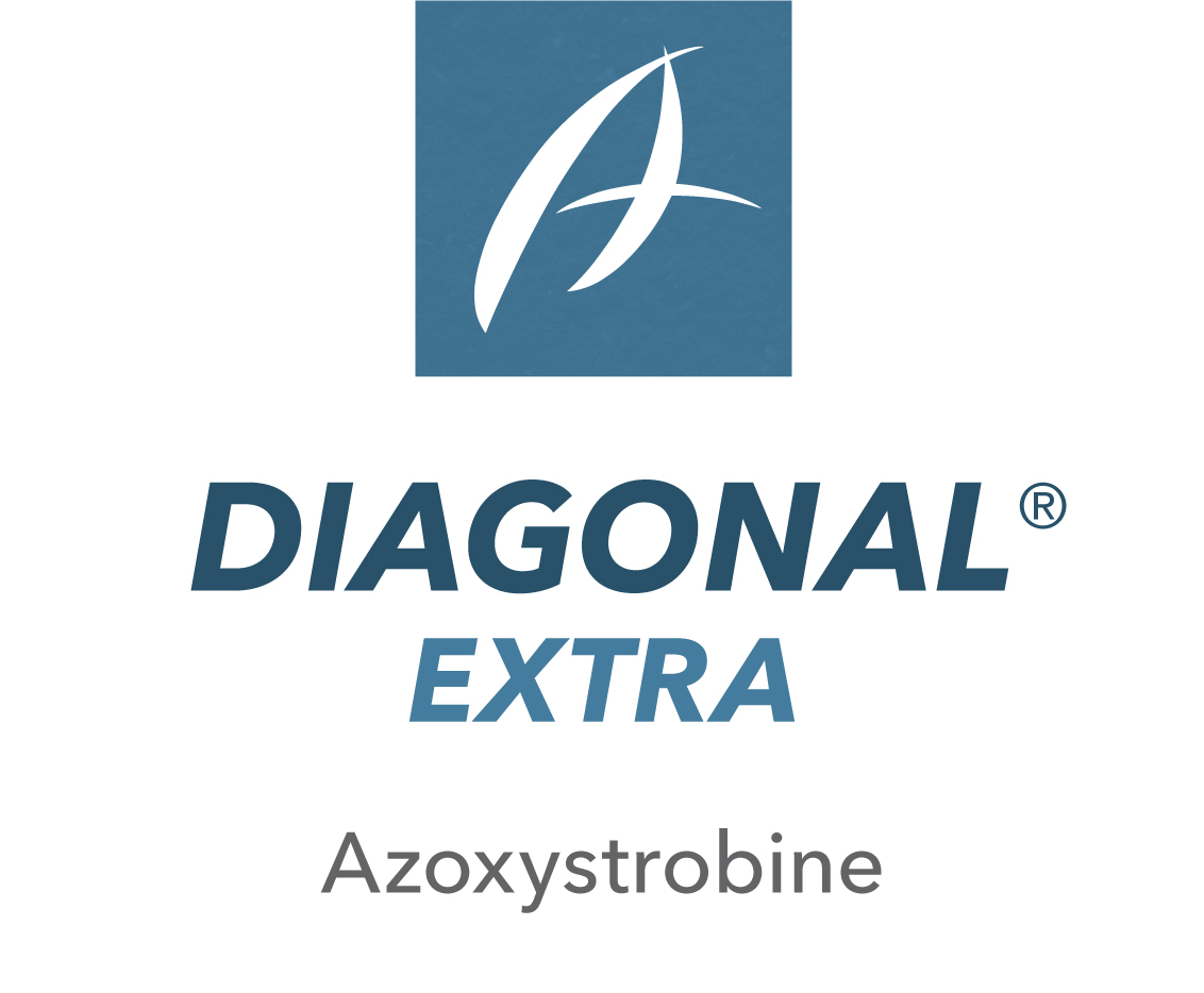 Diagonal® Extra