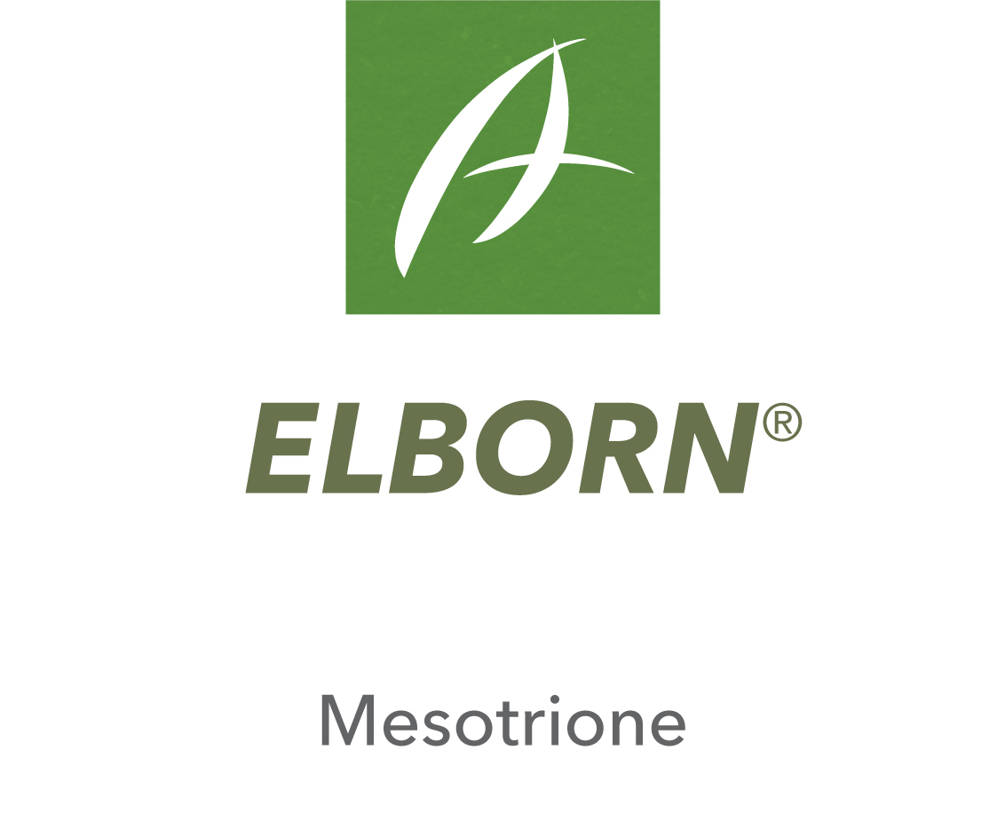 Elborn®