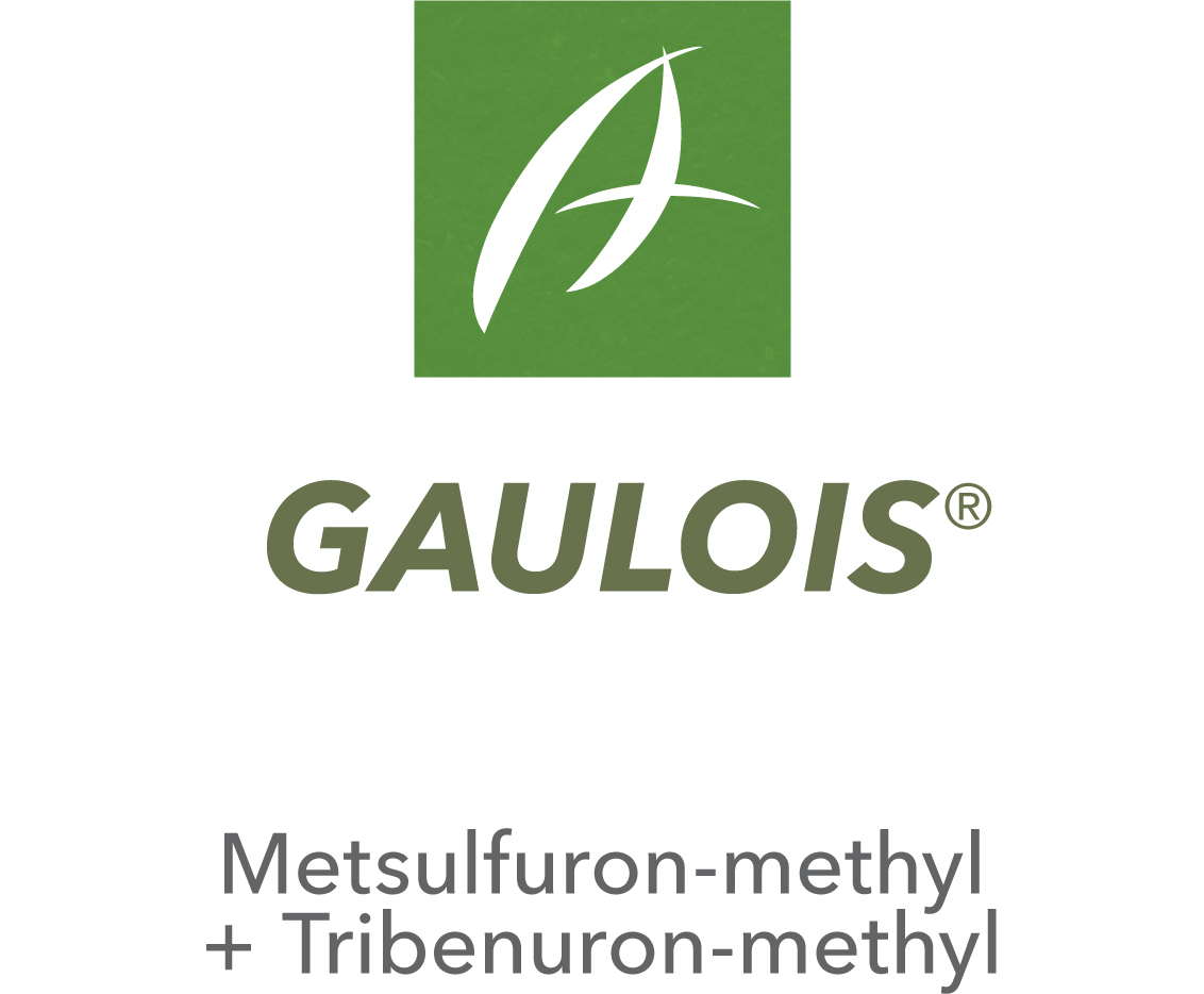 Gaulois®