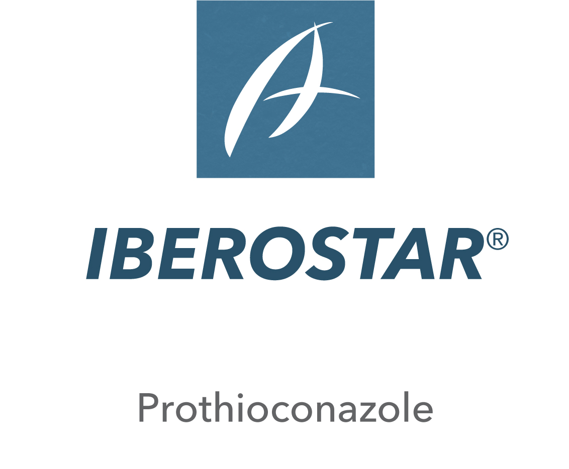 Iberostar®