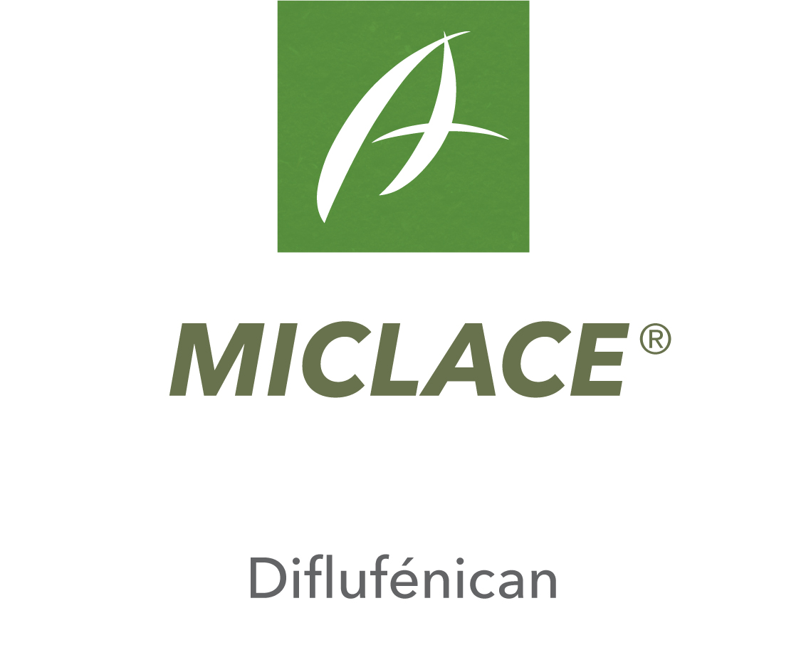 Miclace®