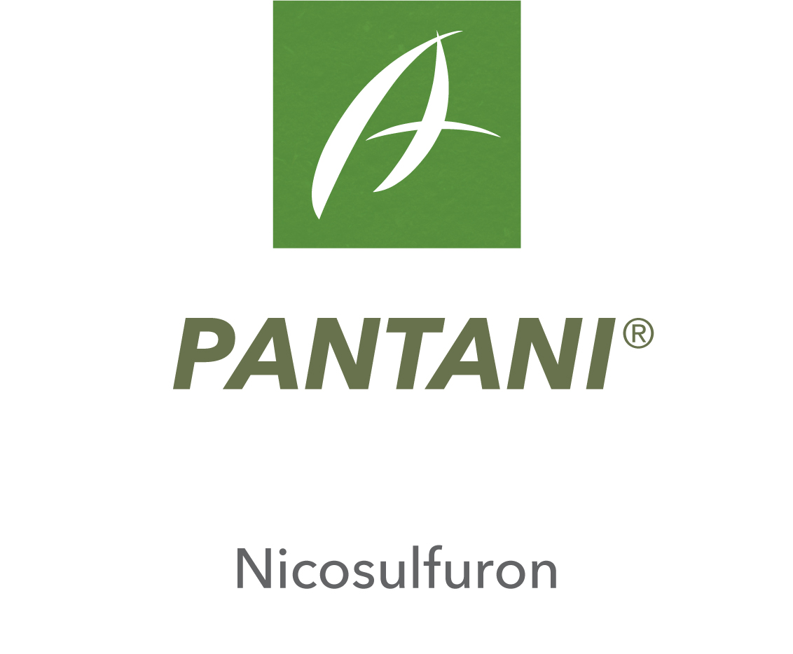 Pantani®