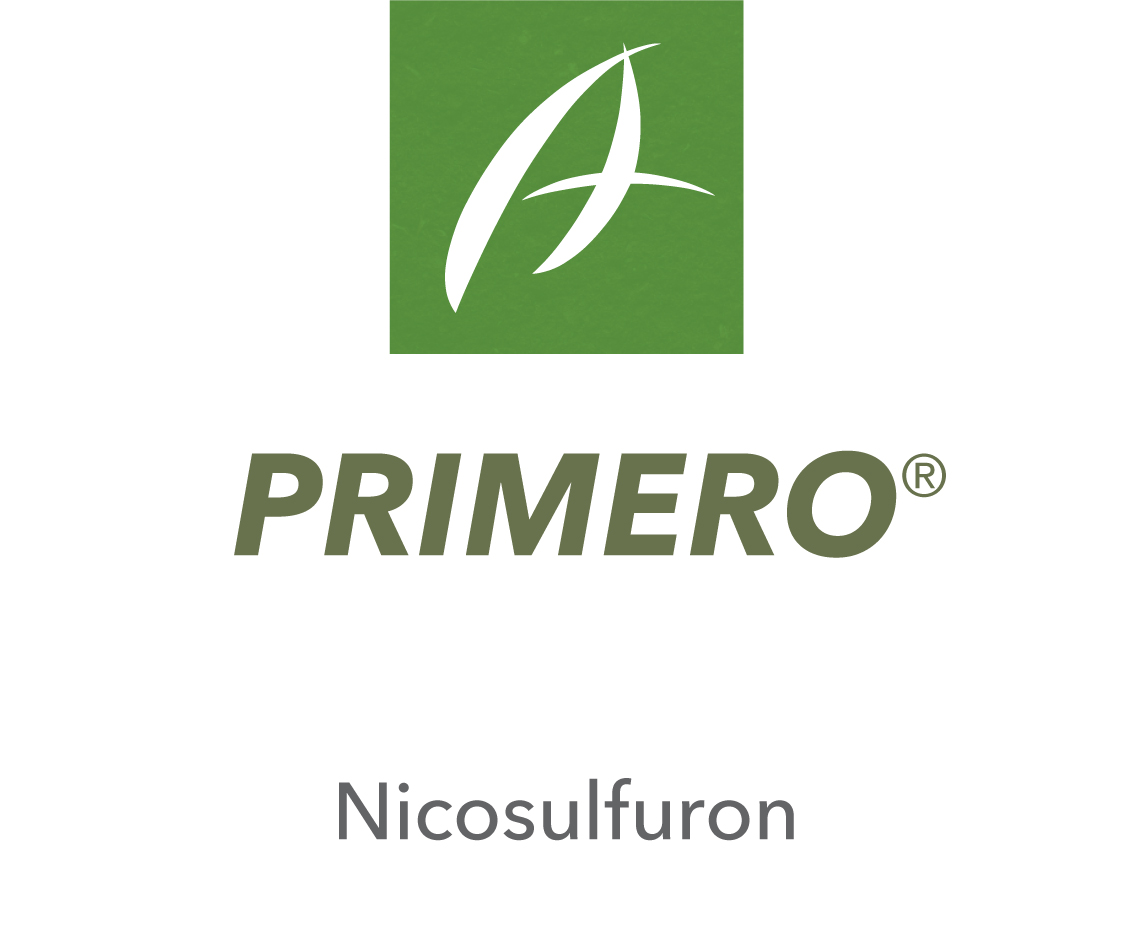 Primero®