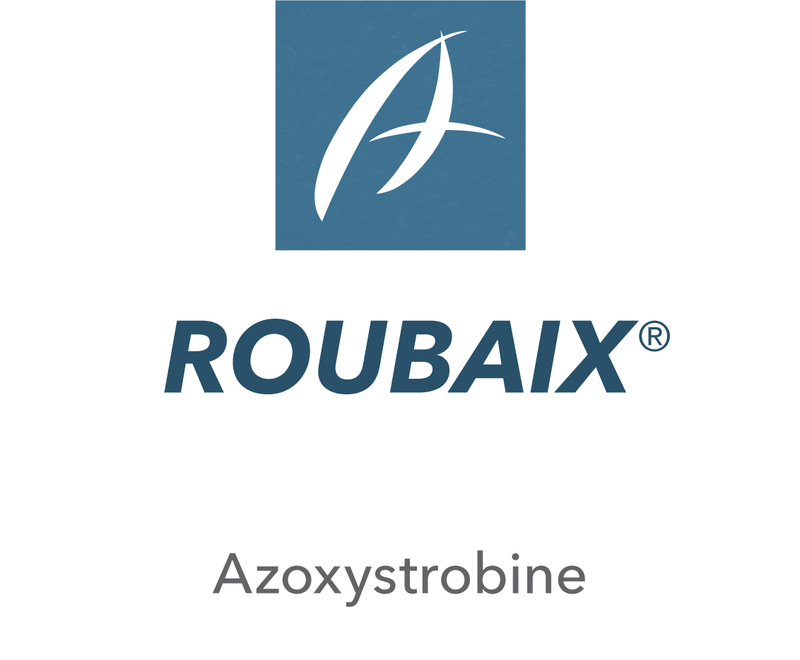 Roubaix®