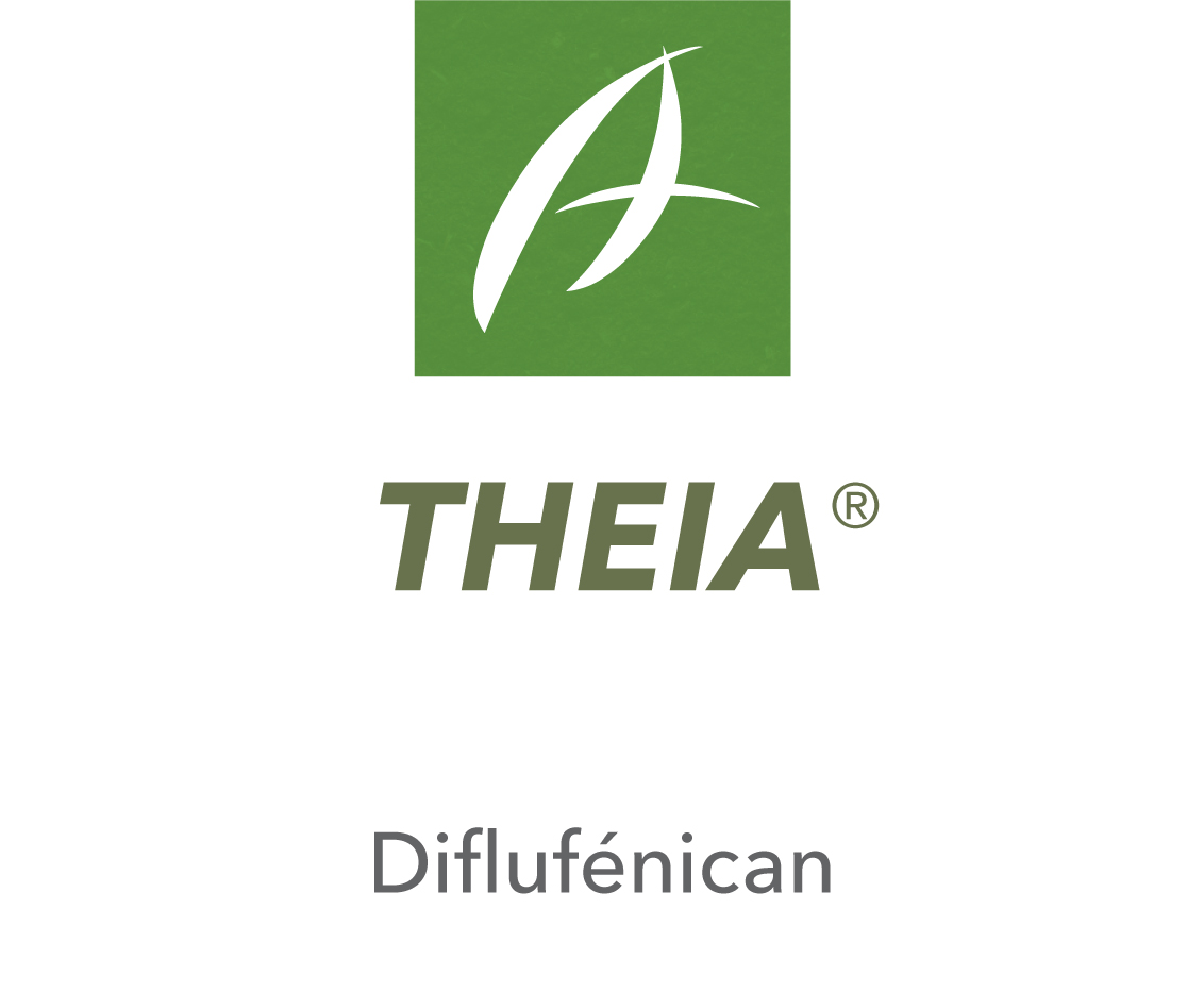 Theia®