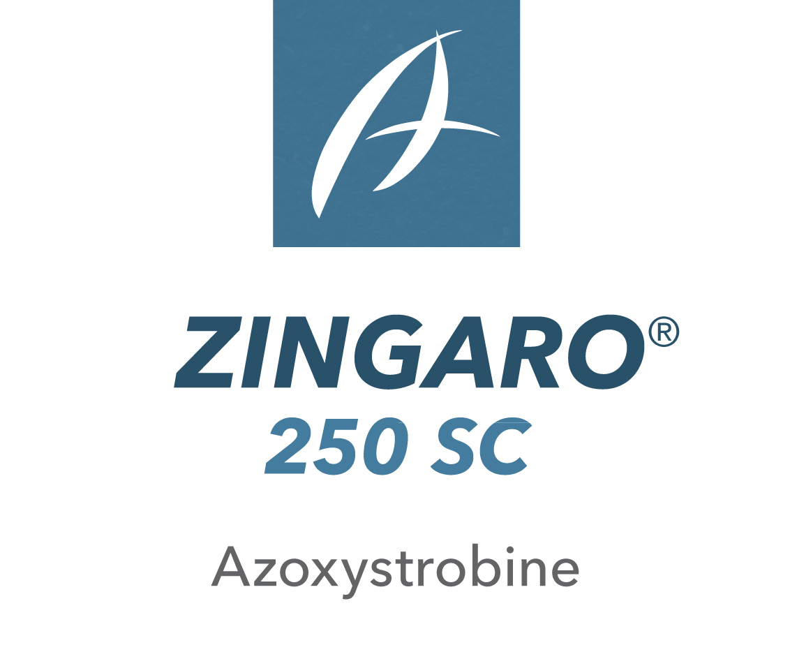 Zingaro® 250 SC