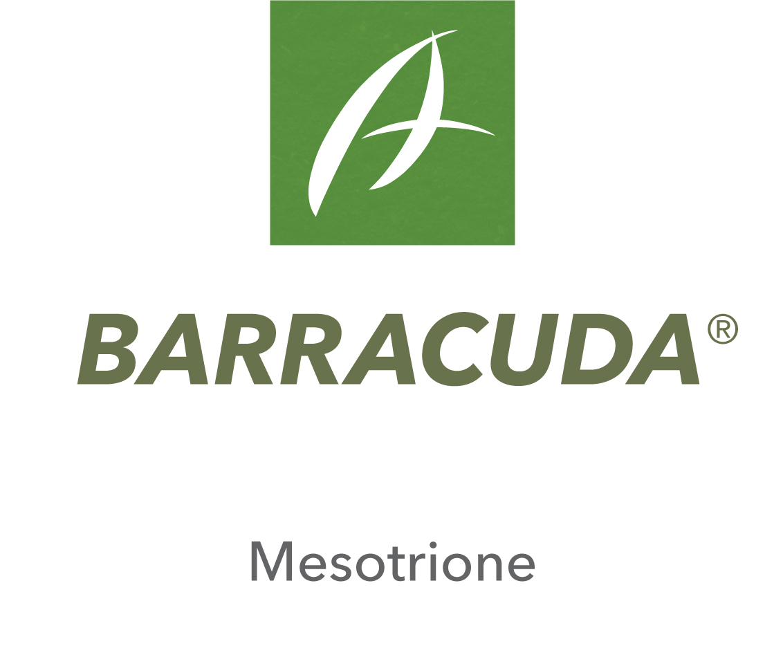 Barracuda®