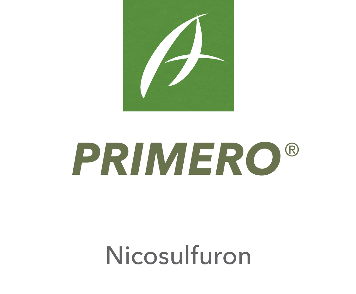 Primero®