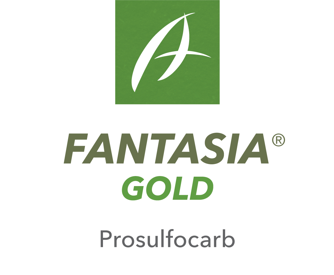 Fantasia® Gold