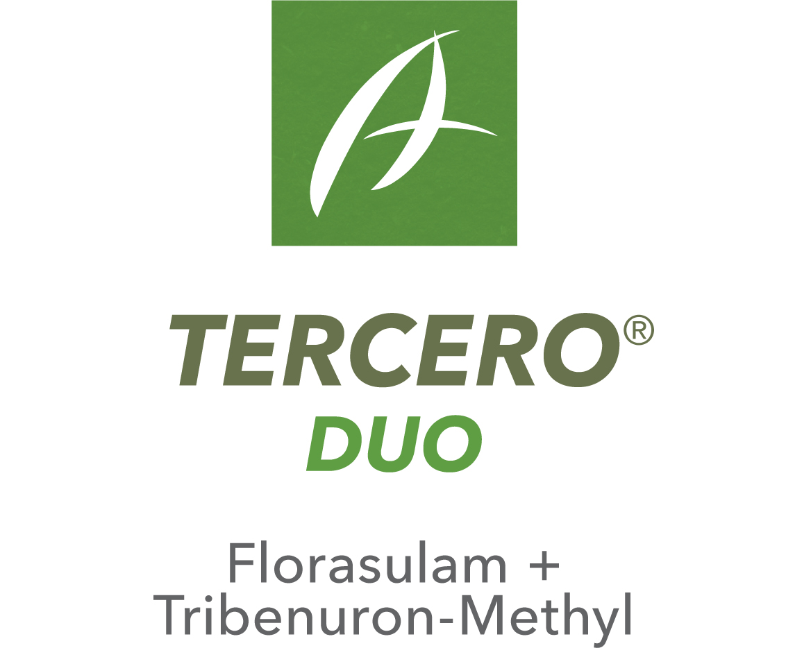 Tercero® Duo