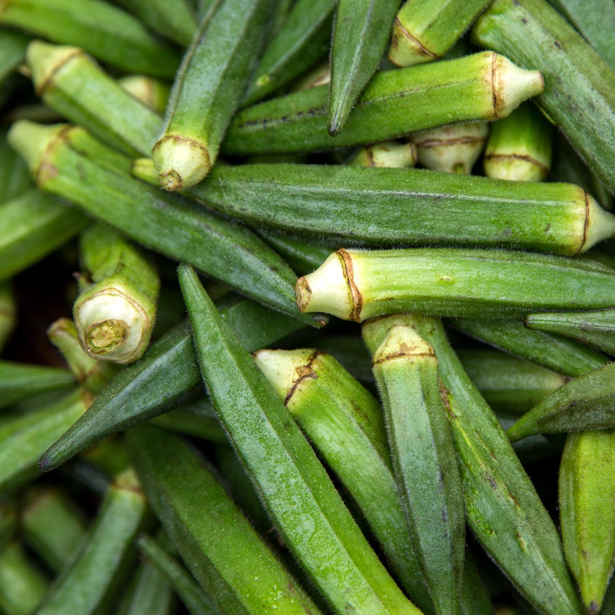 Okra