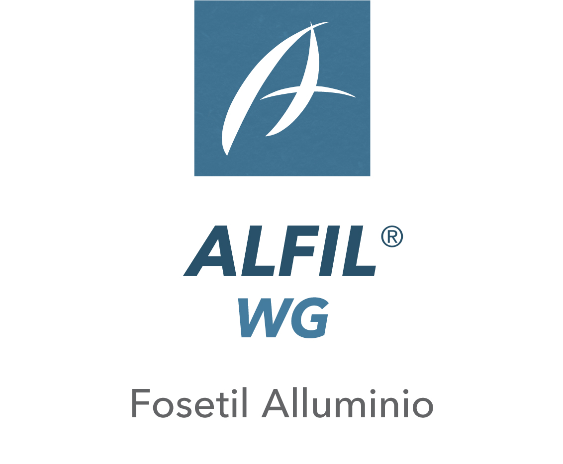 Alfil WG