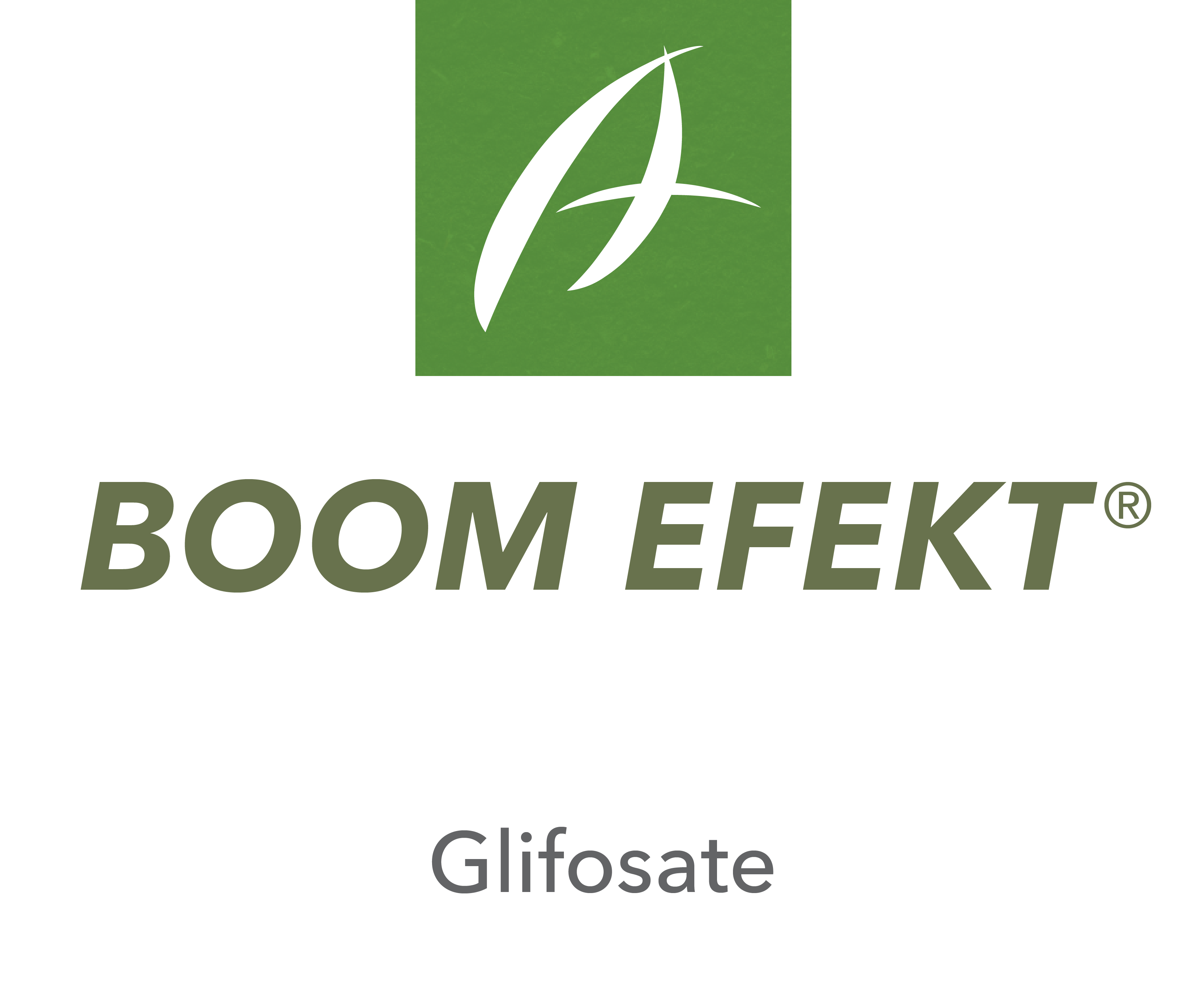 Boom Efekt