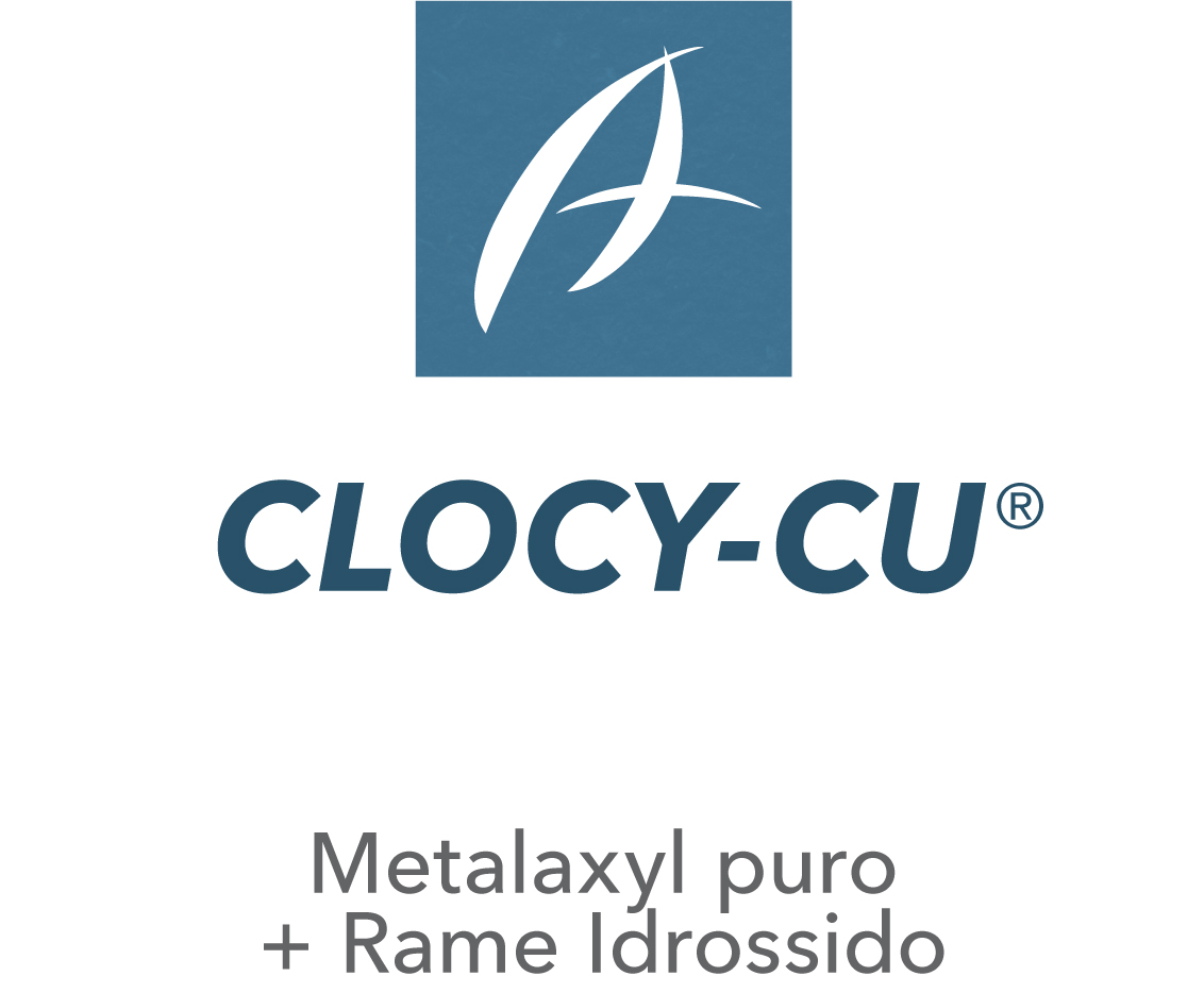 Clocy-Cu®