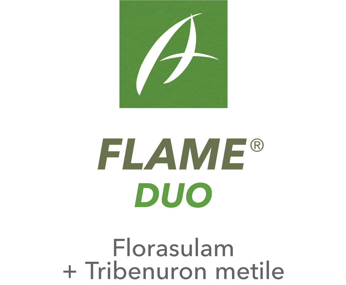 Flame Duo