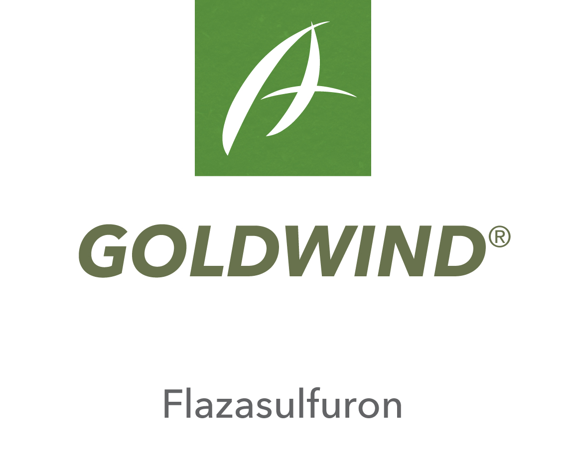 Goldwind®