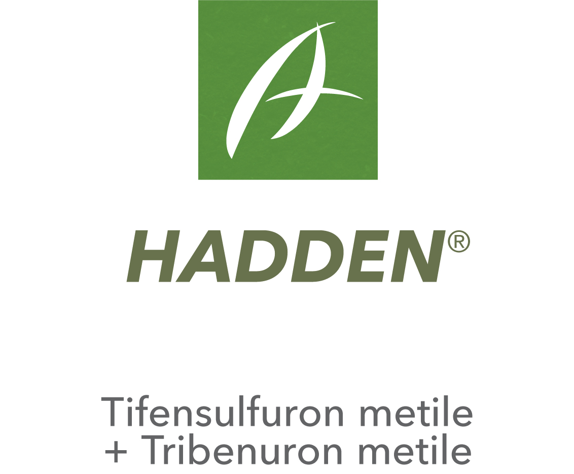 Hadden®