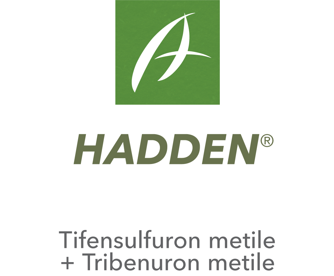 Hadden