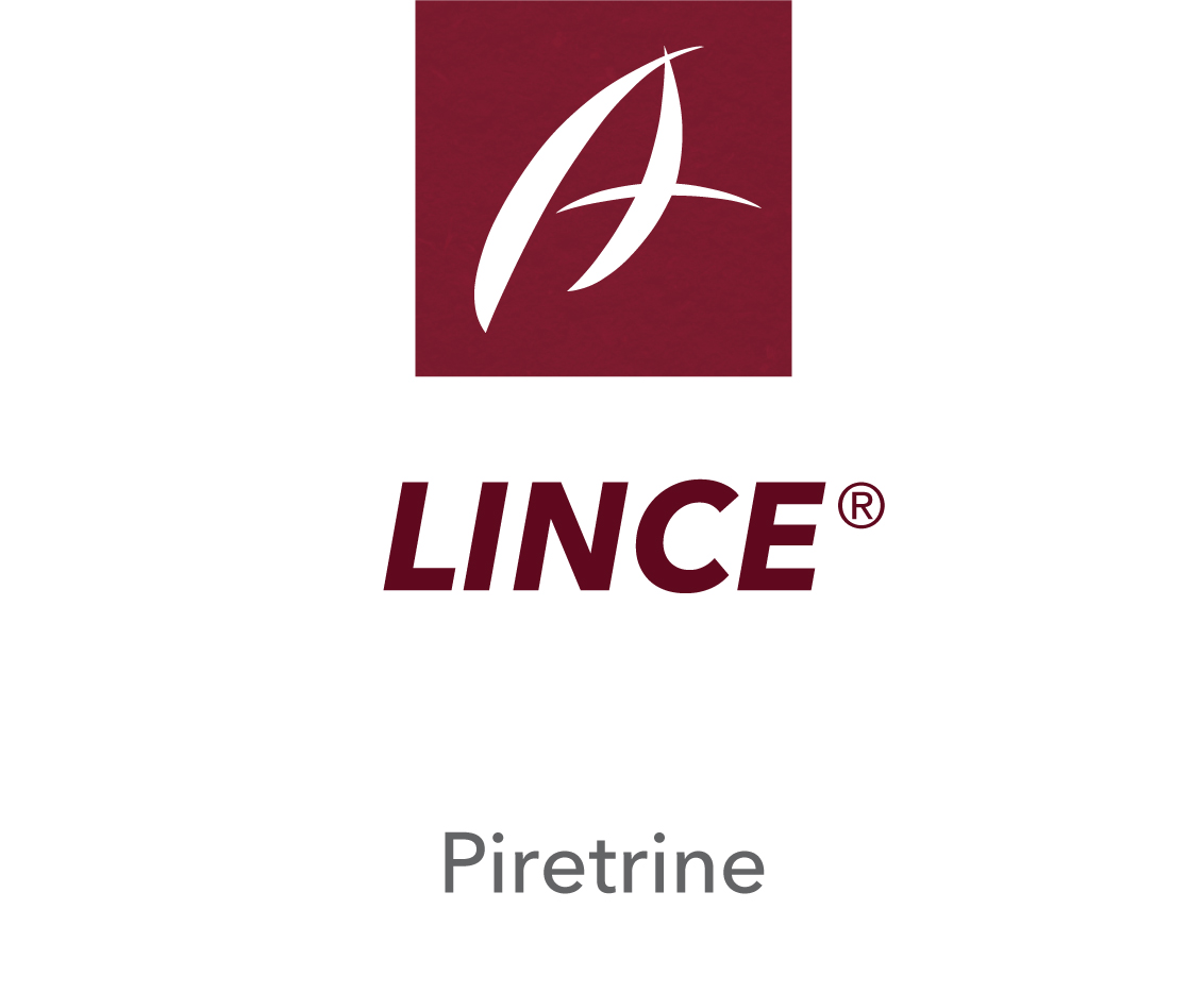 Lince®