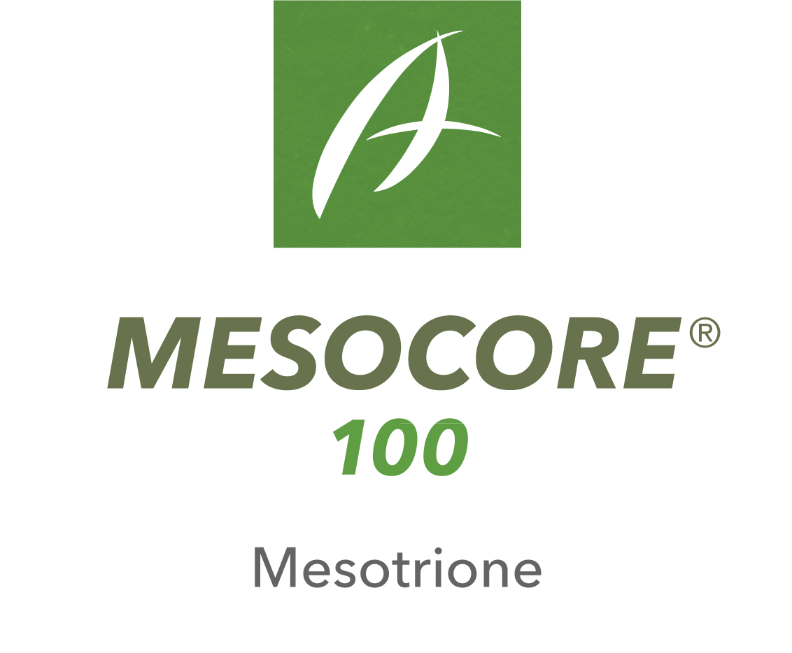 Mesocore® 100 SC