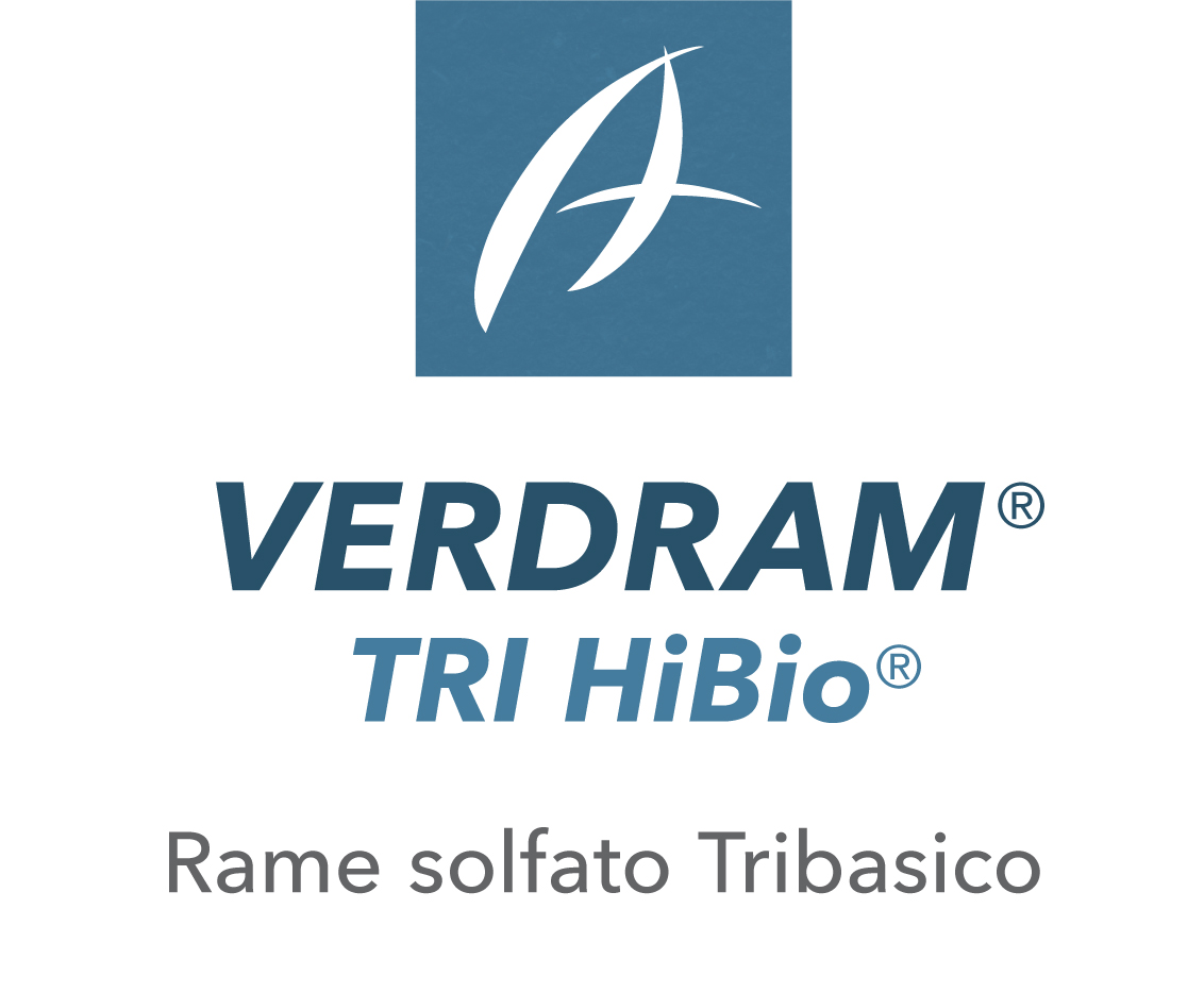 Verdram® Tri HiBio®