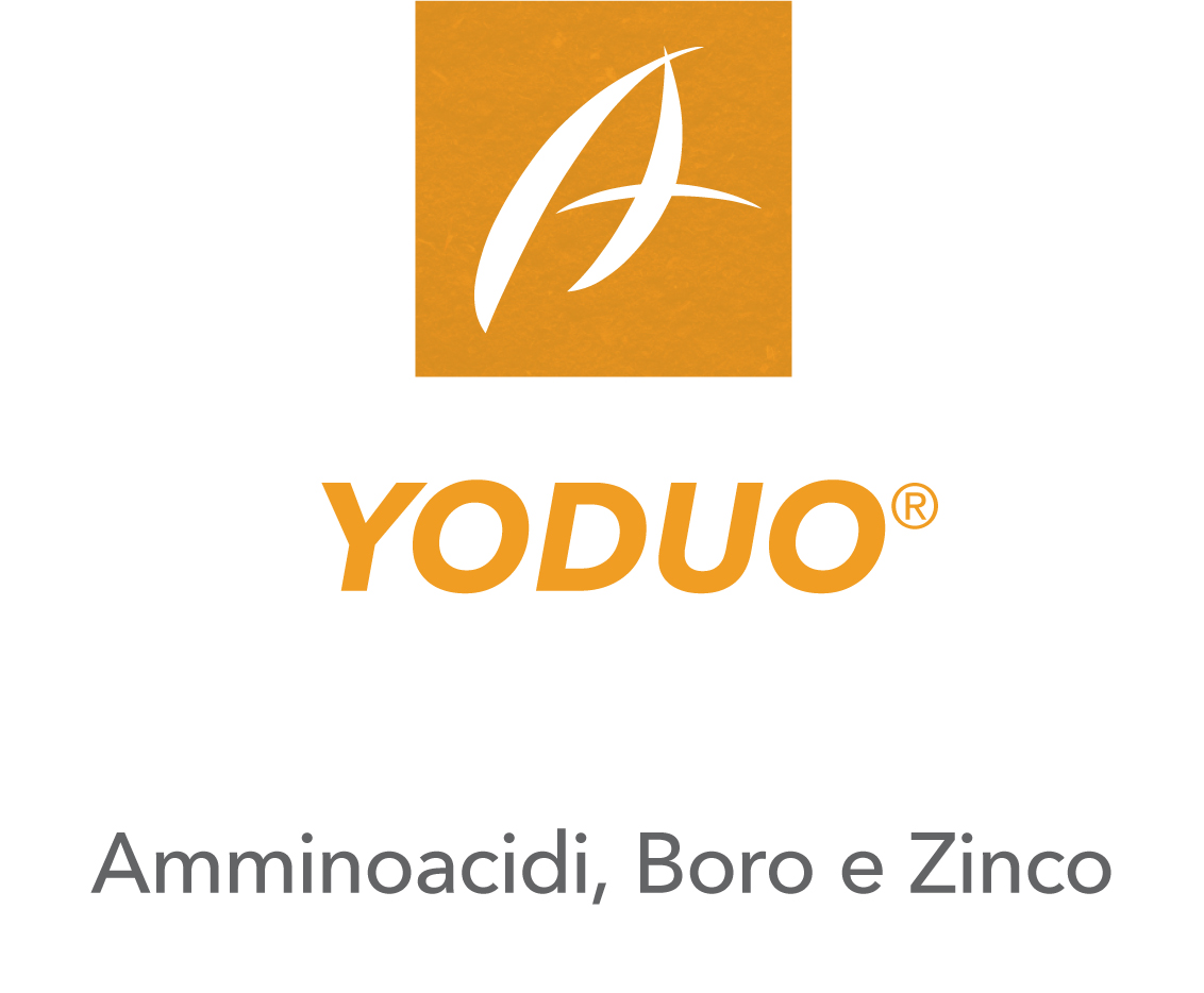 Yoduo