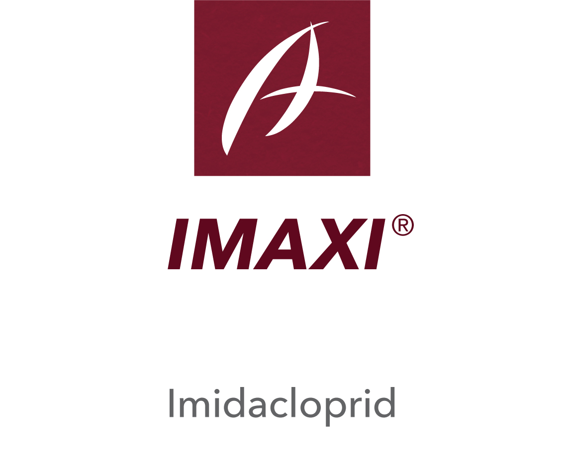 Imaxi®