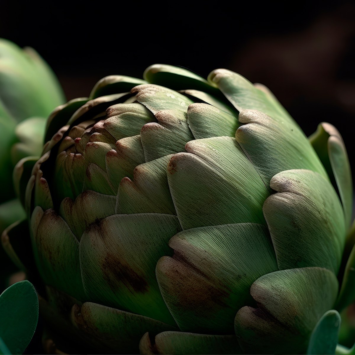 Artichoke